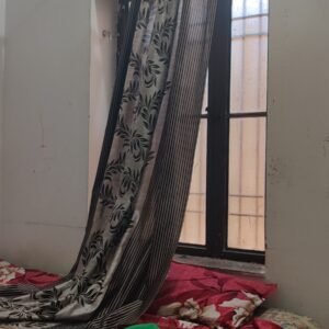 IMG_20250127_122806